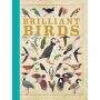 Brilliant Birds