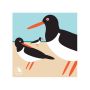 Oyster Catcher Boxed Notecards