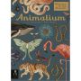 Welcome To The Museum: Animalium