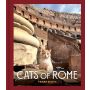 Cats of Rome