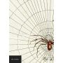 Spider Notebook