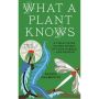 What a Plant Knows