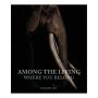 Among the Living: Where You Belong