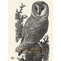 Charles Tunnicliffe Prints