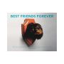 Best Friend Forever