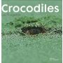 Crocodiles