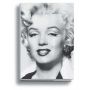 Silver Marilyn