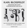 Karl Blossfeldt