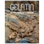 Gelatin. Vorm - Fellows - Attitude