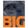 Big: A Photographic Album of the World's Largest Animals