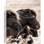 Horses of Iceland