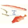 Fishes of Edo