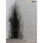 Anish Kapoor : Dirty Corner