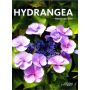 Hydrangea