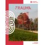 TraumA. Triënnale Brugge 2021