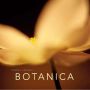 Botanica