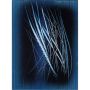 Hans Hartung