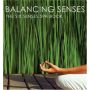 Balancing Senses