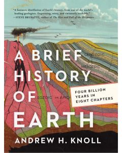 A Brief History of Earth