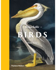 Remarkable Birds