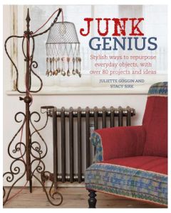 Junk Genius