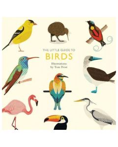 The Little Guide to Birds