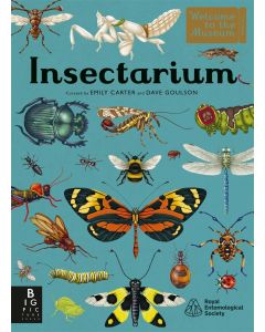 Welcome To The Museum: Insectarium