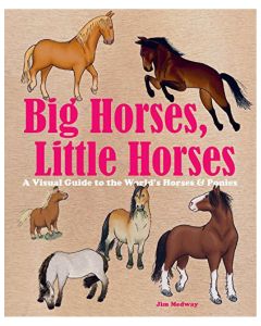 Big Horses, Little Horses