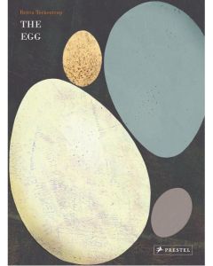 The Egg