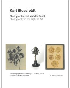 Karl Blossfeldt: Photography in the Light of Art