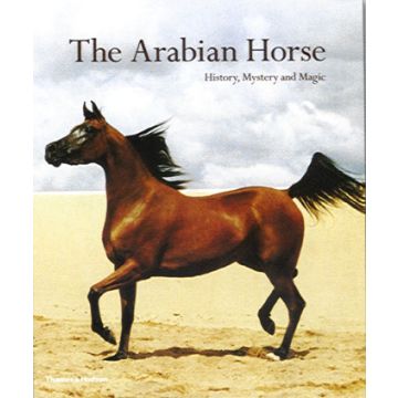 The Arabian Horse.