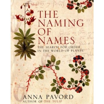 The Naming of Names