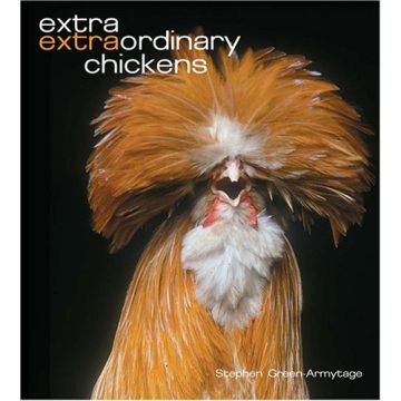 Extra Ordinary Chickens