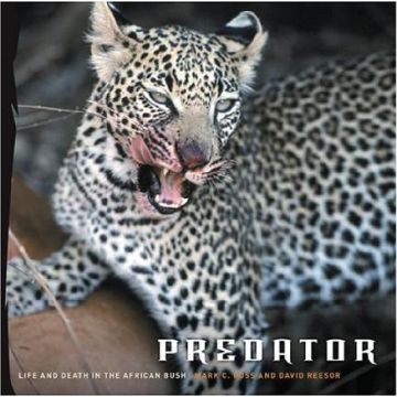 Predator