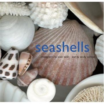 Seashells