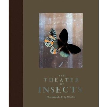 The Theater of Insects