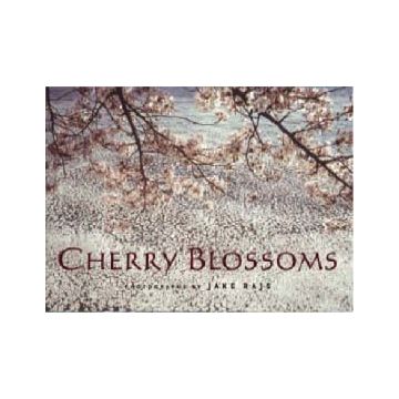 Cherry Blossoms