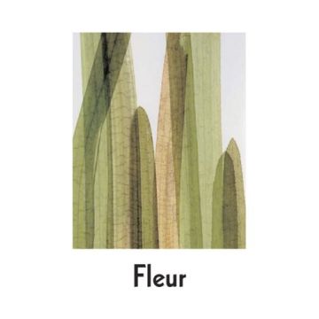 Fleur