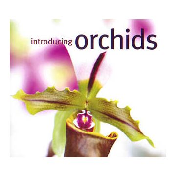 Introducing Orchids