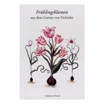 Frühlingsblumen aus den Garten von Eichstätt