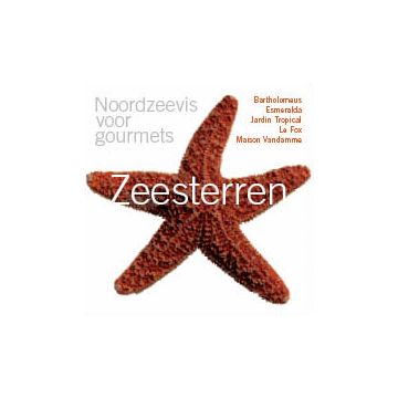 Zeesterren