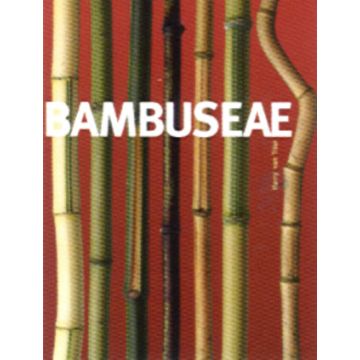 Bambuseae