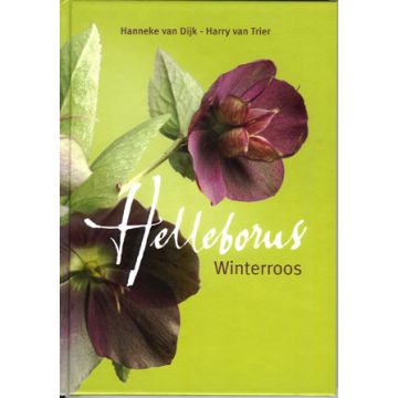 Helleborus