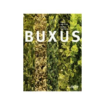 Buxus