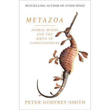 Metazoa