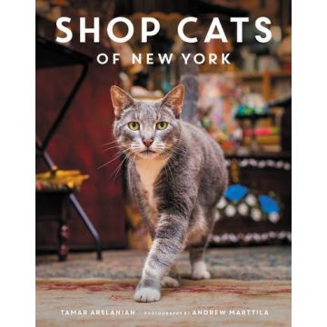 Shop Cats of New York