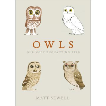 Owls