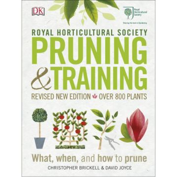 RHS Pruning & Training