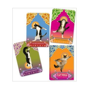 Cat Yoga Postcards