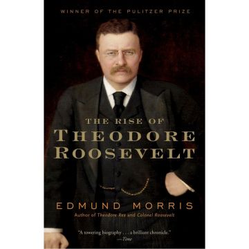 The Rise of Theodore Roosevelt